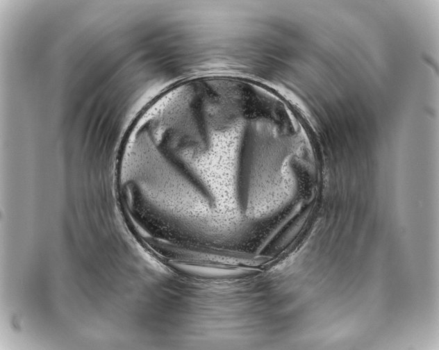 X0000095881333200802011035