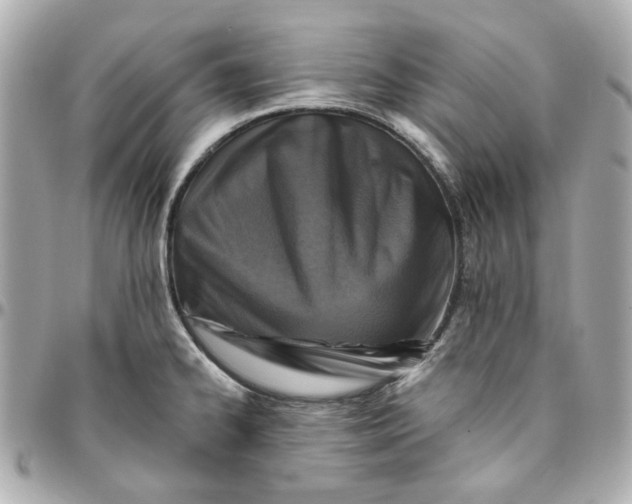 X0000095881334200802011035