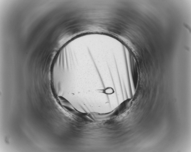 X0000095881335200802011035