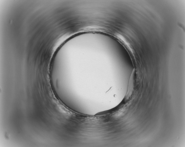 X0000095881336200802011035