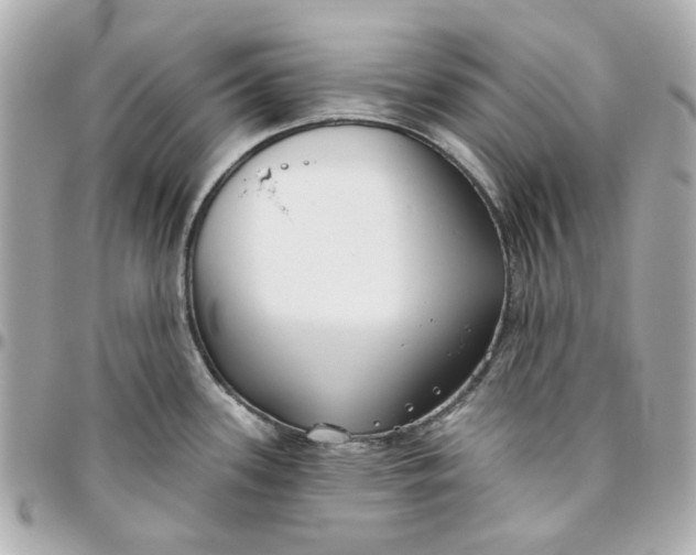 X0000095881339200802011035