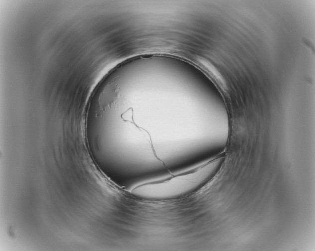 X0000095881340200802011035