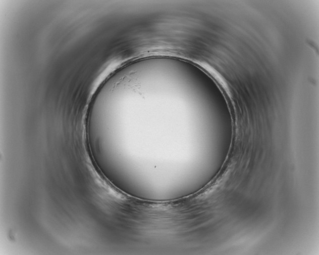 X0000095881341200802011035