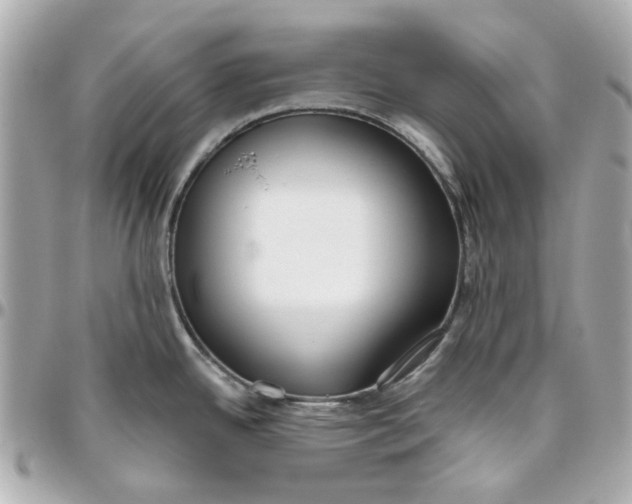 X0000095881342200802011035