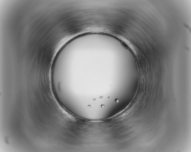 X0000095881343200802011035