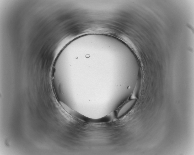 X0000095881344200802011035