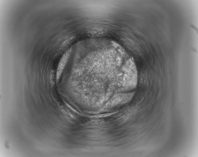 X0000095881346200802011035