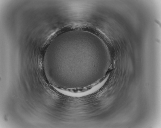 X0000095881348200802011035