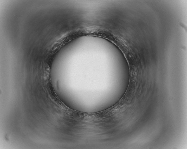 X0000095881349200802011035