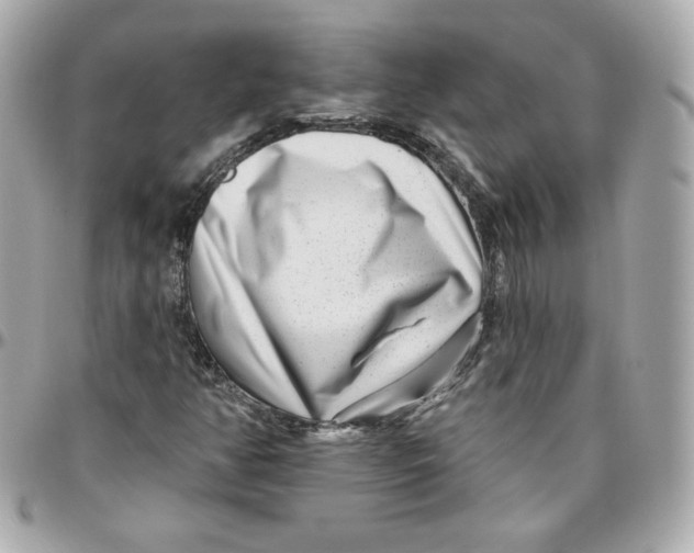 X0000095881350200802011035