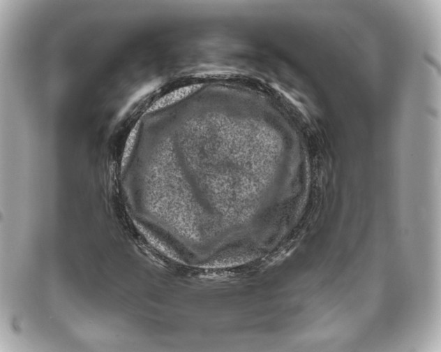 X0000095881351200802011035