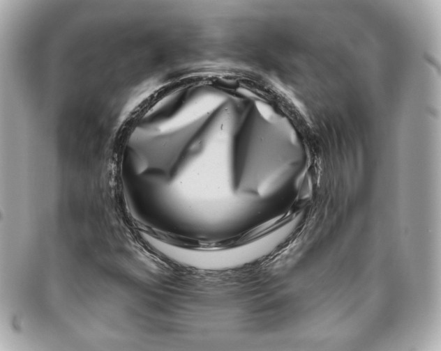 X0000095881352200802011035