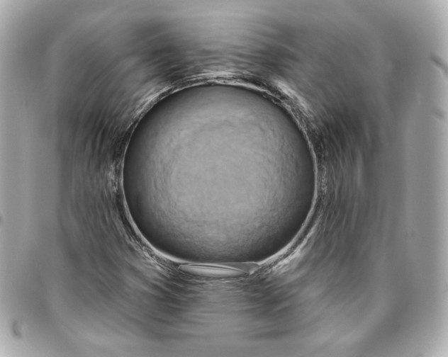 X0000095881353200802011035