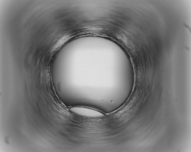 X0000095881354200802011035