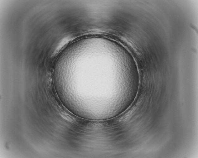 X0000095881355200802011035