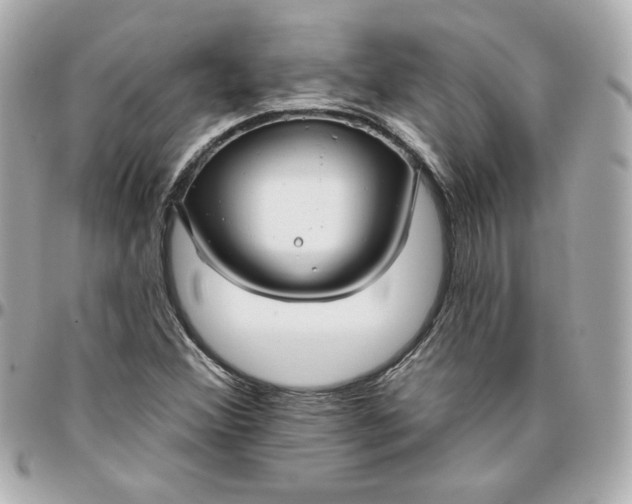 X0000095881356200802011035