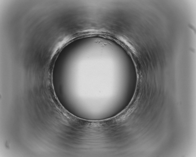 X0000095881357200802011035