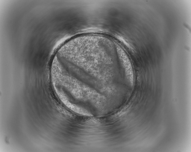 X0000095881358200802011035