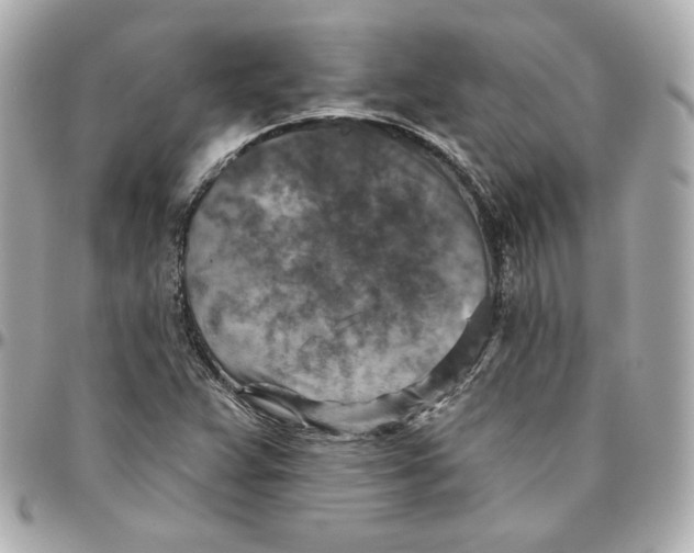 X0000095881359200802011035