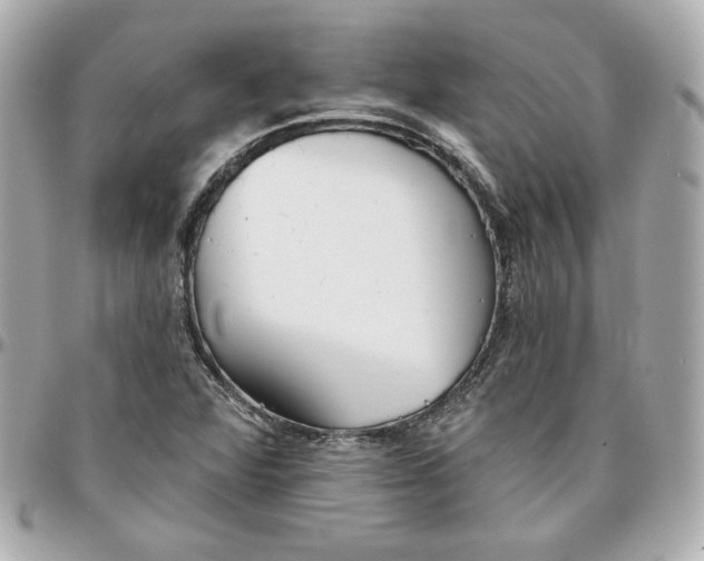 X0000095881360200802011035