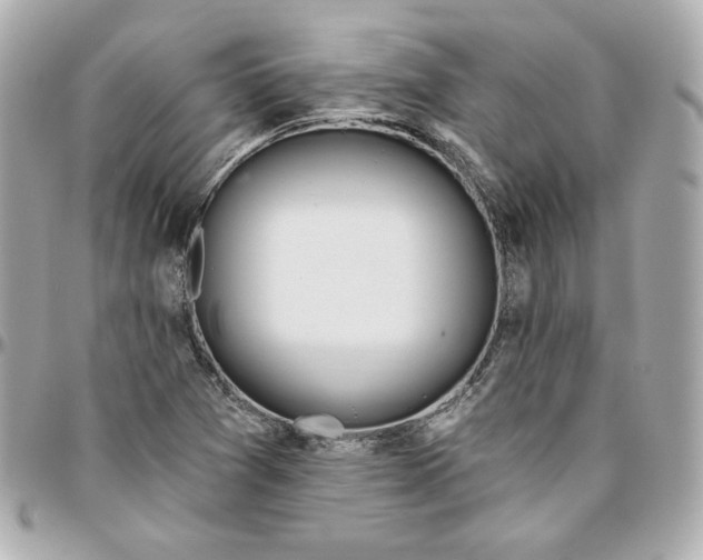 X0000095881361200802011035