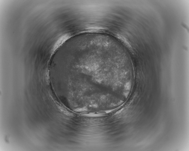 X0000095881362200802011035