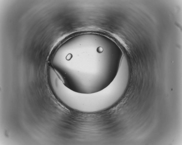 X0000095881364200802011035