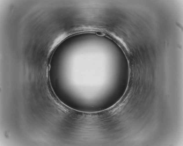 X0000095881365200802011034