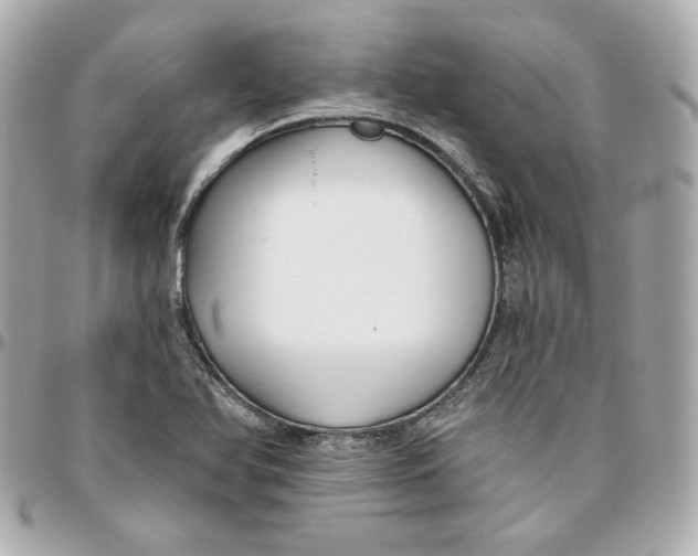 X0000095881366200802011034