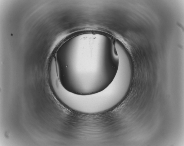 X0000095881368200802011034