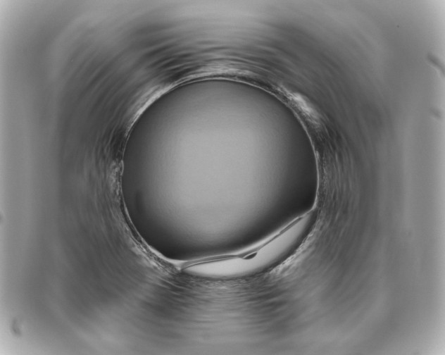 X0000095881369200802011034