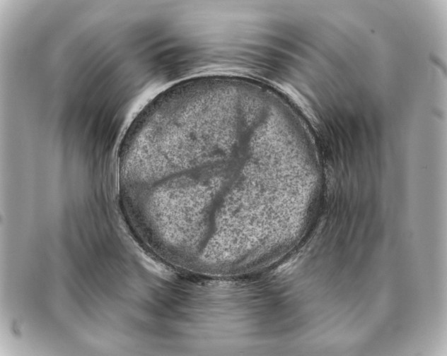 X0000095881371200802011034