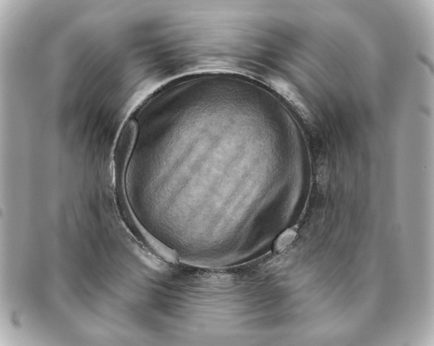 X0000095881372200802011034