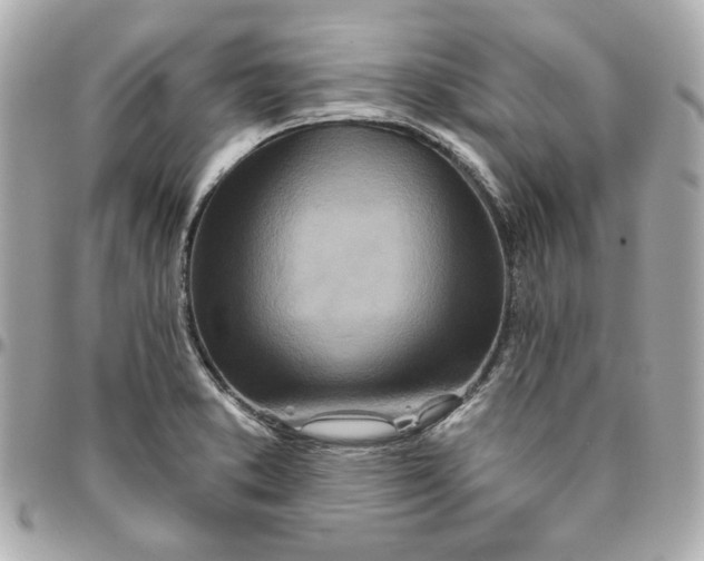 X0000095881373200802011034