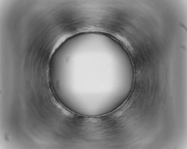 X0000095881374200802011034