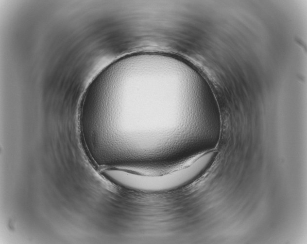 X0000095881375200802011034