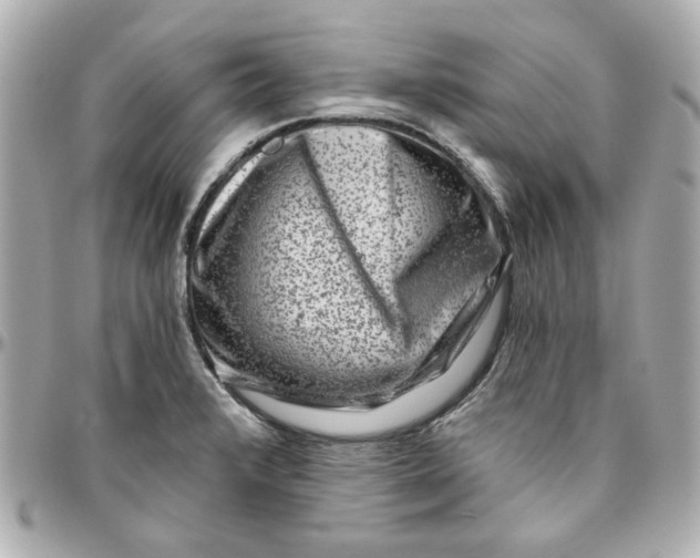 X0000095881376200802011034