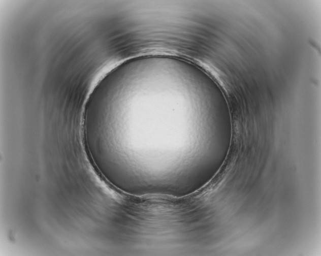 X0000095881379200802011034