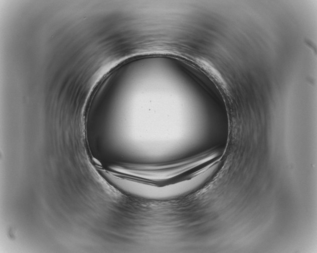 X0000095881380200802011034