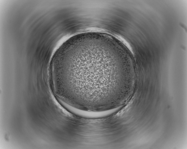 X0000095881381200802011034