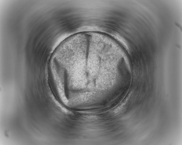 X0000095881382200802011034