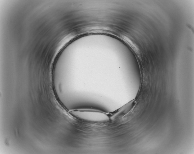 X0000095881384200802011034