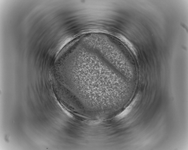 X0000095881385200802011034