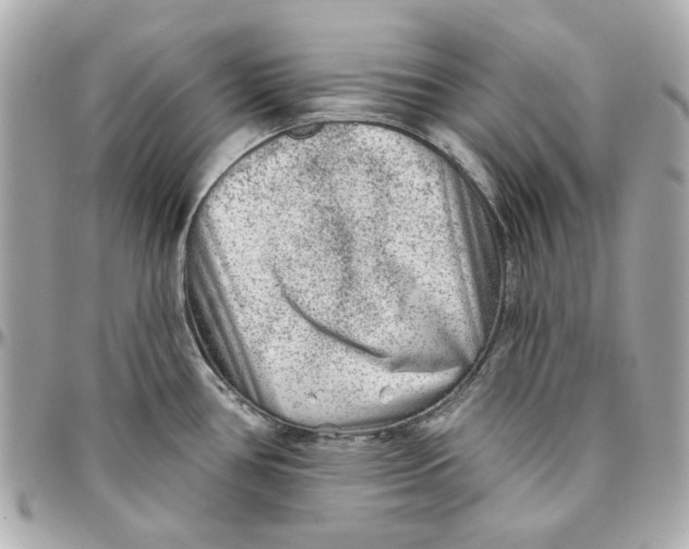 X0000095881386200802011034