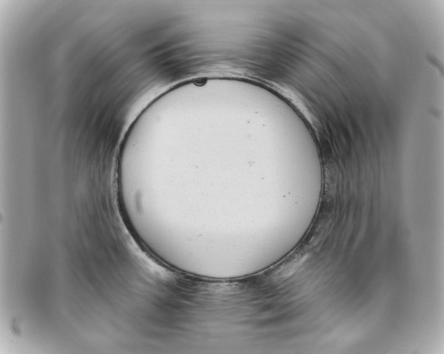 X0000095881387200802011034