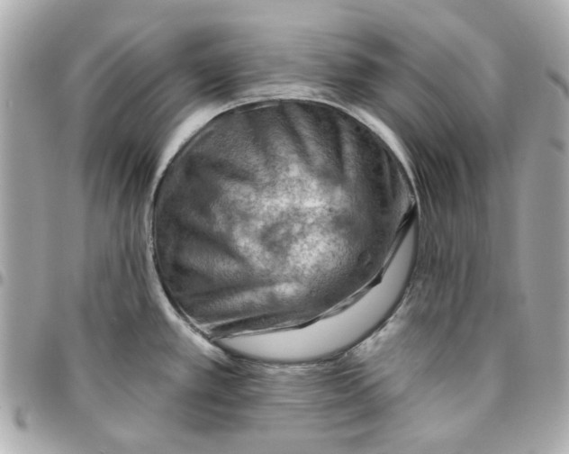 X0000095881389200802011034