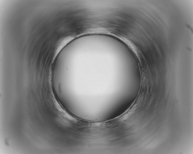 X0000095881390200802011034