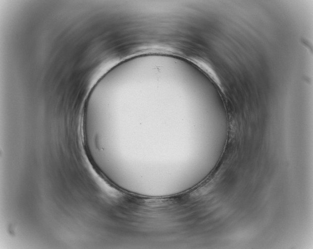 X0000095881391200802011034