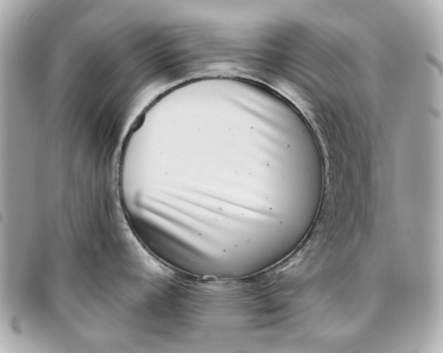 X0000095881392200802011034