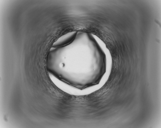 X0000095881393200802011033